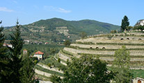 Ecomuseo dei terrazzamenti e della vite