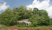 Ecomuseo del Lago d'Orta e Mottarone