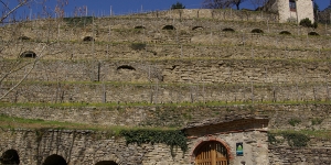 Terrazzamenti a Cortemilia