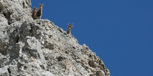 Lugno l'avvicinamento