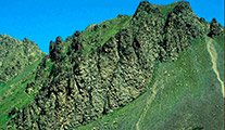 La Val Gimont e il Colletto Verde